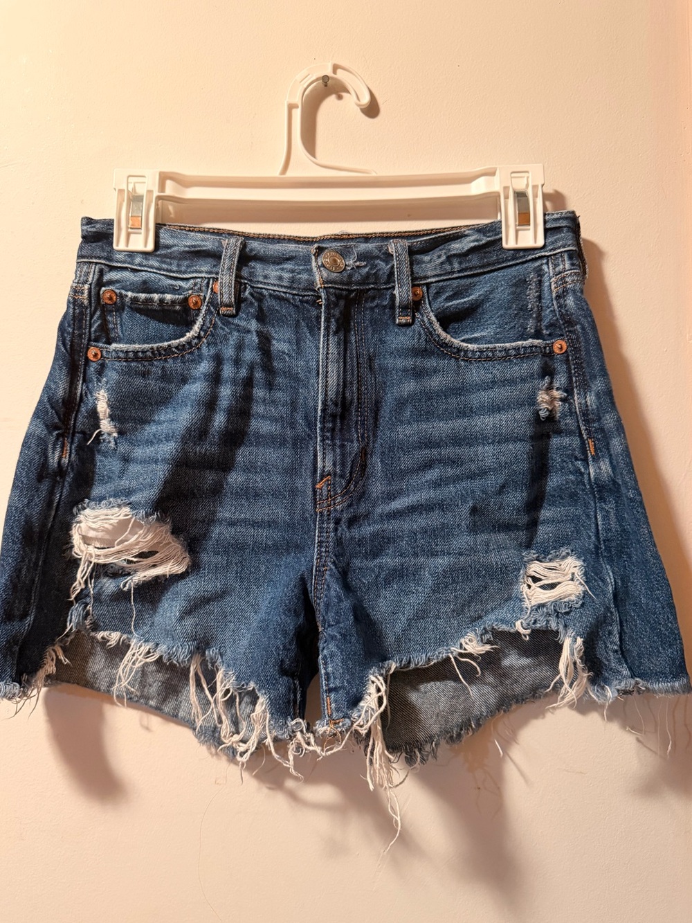 American Eagle 90s Boyfriend Short Size 0